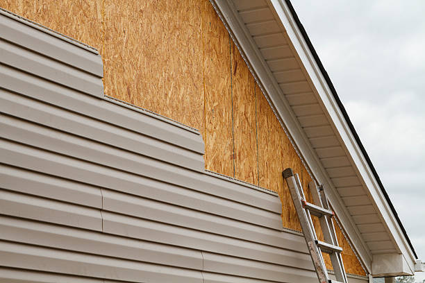 Professional Siding Inspection technician working in Mount Pleasant, TX